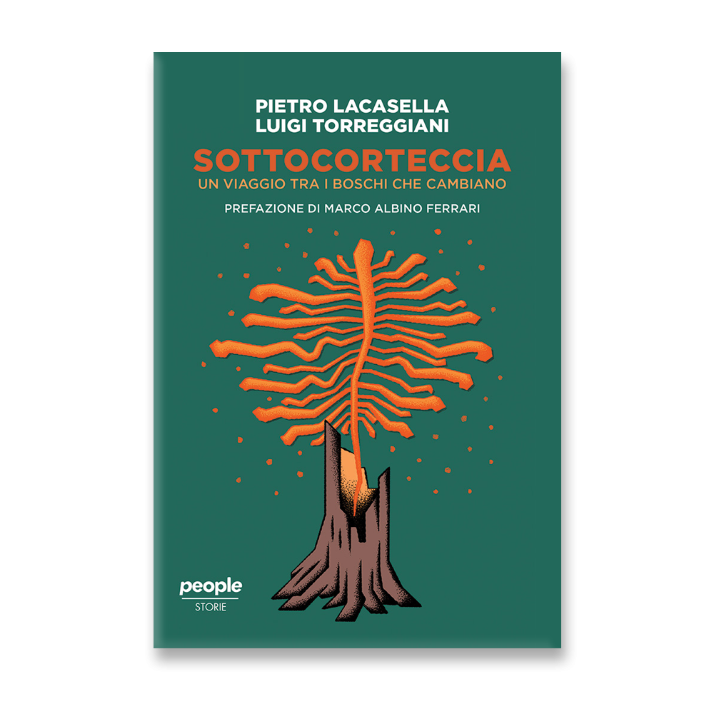 SOTTOCORTECCIA